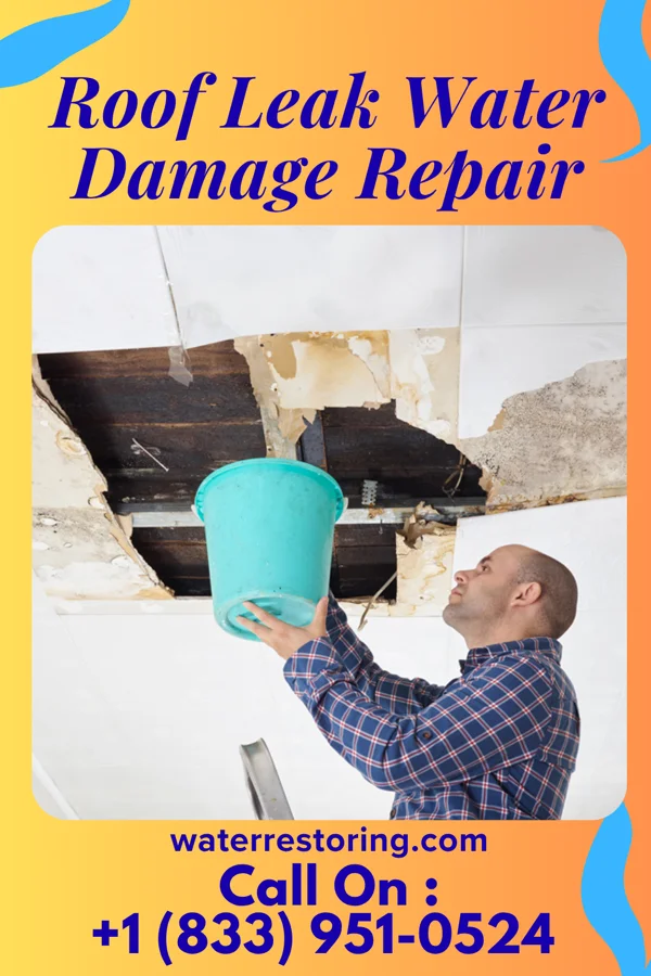 Roof Leak Water Damage Repair in Augusta, IA
