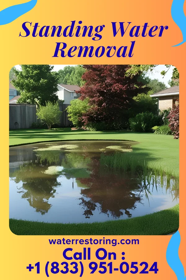Standing Water Removal in Augusta, IA